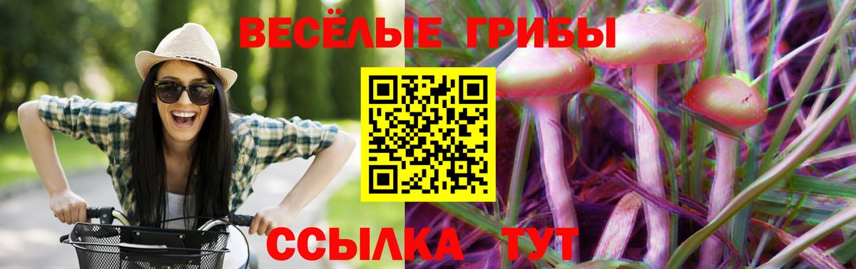 Нижнекамск  Псилоцибиновые грибы GOLDEN TEACHER  Вход с VPN 